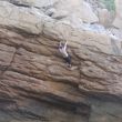 Psicobloc Albir - Foto de la zona a la que se llega por el sendero que hay 300m pasado tnel.