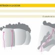 ENTRADA A LA Dcha - 