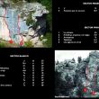 Sector Pino - 