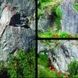 Sector Laja - 