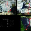 Sector Virgen - 