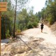 Camino de aproximación - Sendero paralelo al río Cabriel, dos kilómetros antes de llegar al Cuchillar.