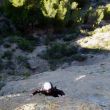 Primer largo a la sombra - 