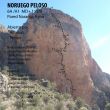 Croquis Noruego Peloso - 