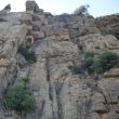 04 Garrofa - 