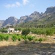 Cresta - Cresta desde Cases de Bèrnia