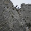 Rapel - 