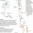 Croquis actualizado de la vía Asaltamontes - 