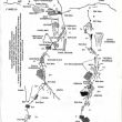Croquis de la vía El Noi (parte 2) - 