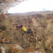 Enlahorizontal - 