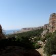 La pared - 