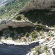 escalda en la cresta - 