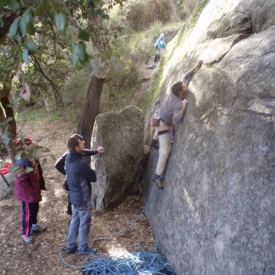 michelines genÃ©ticos (6a)